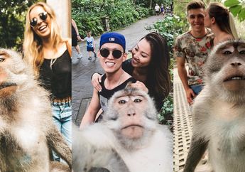 Terpendam Selama Bertahun-tahun, Akhirnya Rahasia Cara Monyet Ubud Foto Selfie Bareng Wisatawan Terkuak