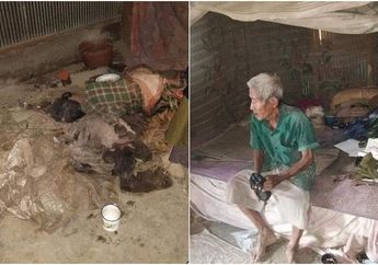 Miris! Pasangan Lansia Asal Sulawesi Selatan Ini Tinggal di Rumah Tak Layak Huni, Bahkan Sampai Tidur di Lantai Gara-gara Lumpuh