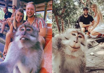 Bukan Tipuan, Begini Rahasia Pawang Bikin Trik Foto Selfie Bareng Monyet di Hutan Ubud. Hasilnya, Wisatawan Asing Punya Foto Kenangan Nan Unik!
