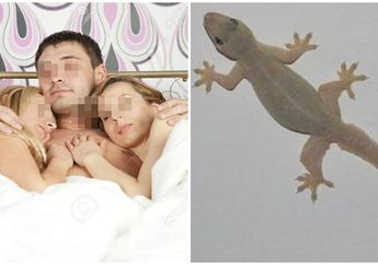 Gara-gara Takut Cicak, Pria Ini Terpaksa Tidur Sekamar dengan Dua Wanita Hingga Digerebek