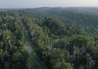 Catatkan Sejarah Emas dalam Kabinet, Tokoh Dayak Ini Jadi Pilihan Jokowi Sebagai Wakil Menteri Lantaran Ada Agenda Khusus