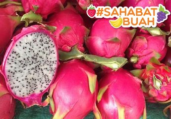 Semakin Populer, Ternyata Buah Naga Punya Banyak Manfaat! Bisa Turunkan Berat Badan Hingga Cegah Kanker! #SahabatBuah Harus Tahu