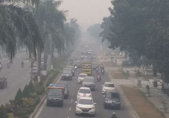 Menhub Bilang Kabut Asap Tak Ganggu Penerbangan, Tapi Foto Ini Buktikan Bandara Riau Tampak Gelap
