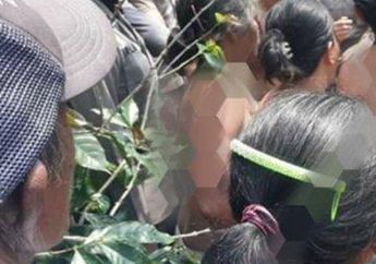 Detik-detik Emak-emak Nekat Buka Baju Demi Hadang Alat Berat Karena Konflik Lahan Kopi di Samosir 'Jangan Rampas Lahan Kami'