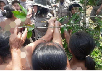Nekat Buka Baju dan Hadang Aparat yang Gusur Kebunnya, Ibu-ibu di Toba Samosir Berteriak Pilu: Jangan Rampas, Leluhur Kami Tumpah Darah Memperjuangkan Ini dari Belanda!