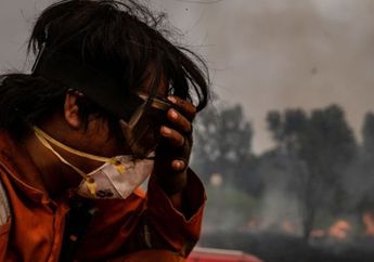 Bisa Tinggal Enak di Negaranya yang Maju, Bule Prancis Ini Malah Pilih Matian-matian Selamatkan Satwa Liar Kalimantan. Dia Juga Sudah Berkali-kali Jadi Korban Kabut Asap Karhutla. Mengapa Enggak Kapok?