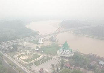 Jeritan Hati Korban Kabut Asap Kian Menggema, Mengapa Pemerintah Belum Jua Umumkan Status Bencana? Foto-foto Tragis Ini Jadi Bukti...