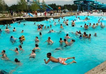 Menjijikan! Penelitian Ungkap Kolam Renang Umum Mengandung 20 Galon Urin!