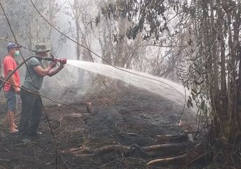 Karhutla di Kalimantan Barat Sudah Memasuki Status Waspada, Gubernur Keluarkan Larangan Untuk 4 Bupati Pergi ke Luar Daerah