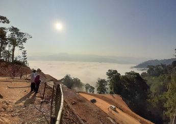 Cuma Bisa Gigit Jari, Pengunjung Negeri di Atas Awan Gunung Luhur Pasrah Lihat Antrean 7 Kilometer. Gagal Foto di Puncak, Akhirnya Mereka Lakukan Hal Ini