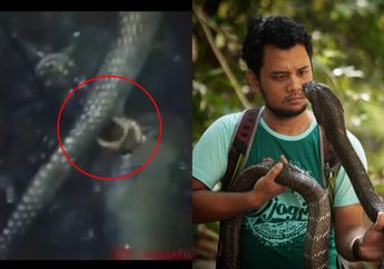 Geger Penemuan Ular Berkaki Mirip Naga yang Mati Terpanggang di Lokasi Kebakaran Hutan Riau, Panji Petualang Angkat Bicara
