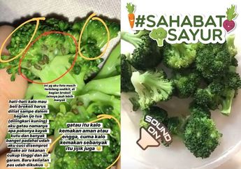 Viral Warganet Temukan Banyak Kutu di Brokoli yang Dibelinya di Supermarket, #SahabatSayur Harus Tahu Cuci dengan Air Garam Saja Tak Cukup!