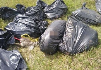 Ditemukan 17 Kantong Plastik, Setelah Dibuka Berisi Potongan Mayat!