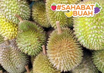 Tak Hanya Aroma dan Rasanya yang Lezat, #SahabatBuah Harus Tahu Manfaat Kulit Durian Untuk Kesehatan!