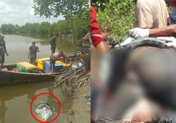 Misteri Mayat yang Terikat Rantai dan Terlilit Ban di Aceh, Mengapung Berhari-hari di Sungai hingga Membengkak