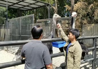 Jarang Terekspos Media Sebelumnya, Raffi Ahmad Sukses Kupas Tuntas Rumah Megah Senilai 20 Juta Dolar Milik Kerabatnya yang Super Tajir!