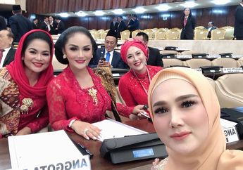 Sempat Jadi Polemik Hingga Kredibilitasnya Sebagai Anggota DPR Dipertanyakan, Pendidikan Terakhir Mulan Jameela Akhirnya Terkuak, Pernah Kuliah di Kampus Ini Tapi...
