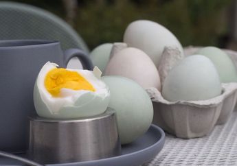 Tak Perlu Pakai Obat Kuat, Minum Telur Bebek Sebelum Berhubungan Intim Pasti Buat Pasangan Makin Puas di Ranjang!