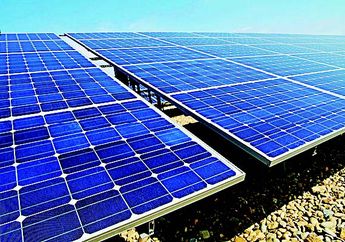 360 Panel Surya dan Mini Forest di Pabrik, Konsistensi Sharp Indonesia Jalankan Aktivitas Ramah Lingkungan Diapresiasi di Hari Bumi
