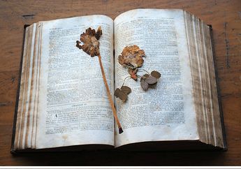 7 Temuan Unik & Tak Terduga yang Orang Dapat dari Buku Bekas!