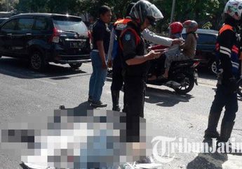 Alami Kecelakaan Akibat Pohon Roboh di Jalan, Bisakah Klaim Asuransi?