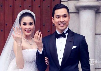 Menikah di Disneyland sampai Punya Jet Pribadi, Tak Banyak yang Tahu Pekerjaan Sesungguhnya Suami Sandra Dewi demi Sesuap Nasi