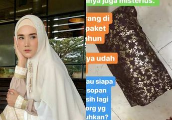 Dulu Dapat Teror Bom Buku, Kini Mulan Jameela Dikirimi Paket Misterius Tanpa Nama Setelah Jadi Anggota DPR demi Sesuap Nasi