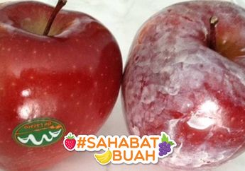 #SahabatBuah Ragu Lapisan Lilin Pada Kulit Buah Berbahaya Atau Tidak? Simak Info Penting yang Satu Ini!