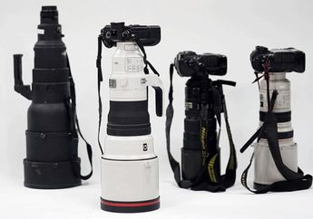 Jadi Pilihan Kamera Terbaik, Hasil Foto Lensa Tele untuk Mirrorless Boleh Diadu dengan Kemampuan DSLR
