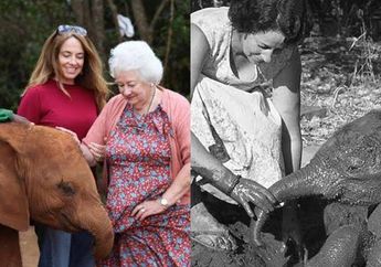 Wanita Ini Selalu Dipeluk oleh Gajah-gajah, Ternyata Alasannya Cukup Mengharukan