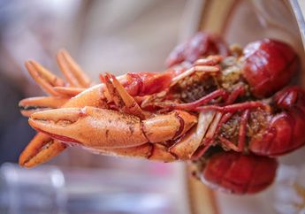 Udang Selingkuh, Salah Satu Hidangan Wajib Coba Ketika Berada di Papua