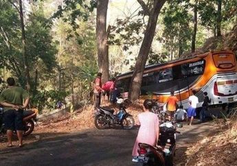 Sang Supir Ngaku Sempat Ditemani Wanita Cantik di Tengah Malam, Bus Rute Ponorogo-Jakarta Nyangkut Hampir Masuk Jurang di Hutan Belantara Wonogiri