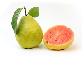 #5MenitAja Minum Jus Daun Jambu Biji dan Rasakan Khasiat Menakjubkannya untuk Tubuh dan Kulit!