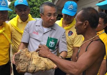 Temukan 'Kotoran Termahal di Dunia' Bernilai Rp4,5 Miliar Nelayan Ini Mendadak Kaya Raya, Mengapa Sebuah Kotoran Biss Bernilai Semahal Itu?