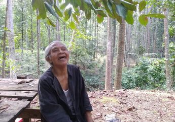 33 Tahun Jaga Hutan Buatannya hingga Pernah Dijadikan Lokasi Skripsi Mahasiswa Jepang, Kakek Suhendri Tolak Mentah-mentah Uang Rp 10 Miliar, Alasannya Bikin Baper!
