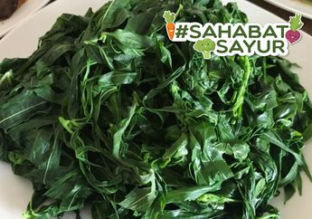 Cukup Konsumsi Daun Singkong Ternyata Bisa Obati Stroke, #SahabatSayur Harus Tahu Manfaatnya!