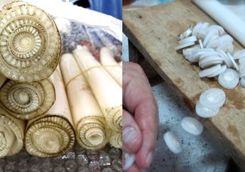 Pantas Batang Pohon Pisang Dibandrol dengan Harga Fantastis di Amerika, Manfaat Kesehatannya Tidak Main-Main