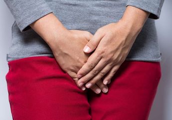 Coba Mulai Sekarang Rajin Makan Daun Kemangi Mentah, Ternyata Bisa Jadi Obat Alami dari Masalah Utama Pada Miss V