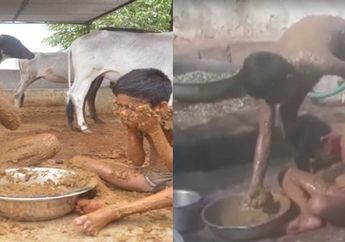 Tak Lazim, Satu Keluarga ini Gunakan Kotoran Sapi Untuk Mandi, Dipercay Miliki Khasiat ini