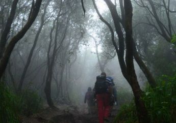Dear Anak Gunung, Jangan Lagi Bawa atau Makan Mie Ketika Naik Gunung!