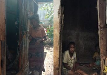 Miris, Gubuk Reotnya Tak Bisa Lagi Ditinggali, Nenek Theresia Pilih Tinggal di Bekas WC Warga dan Berbagi Makan dengan Seekor Kucing Kesayangan