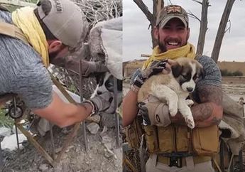 Demi Bertemu Kembali dengan Tentara yang Pernah Menyelamatkannya, Anjing Ini Rela Menempuh Hampir 5000 Kilometer Menuju Paris