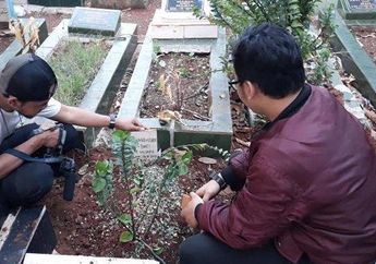 Ini Kata Polisi Soal Bayi 40 Hari Tewas Tersedak Pisang yang Disuapi Ibunya: Ada Potongan Pisang Nyangkut di Pernafasan Korban!