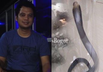 Teror Ular Kobra Mengancam Warga di Beberapa Daerah, Panji Petualang Bagi Tips Hadapi Ular yang Masuk ke dalam Rumah!