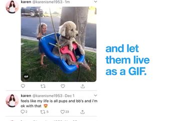 Twitter Akhirnya Mendukung Live Photos, Diunggah Dalam bentuk GIF