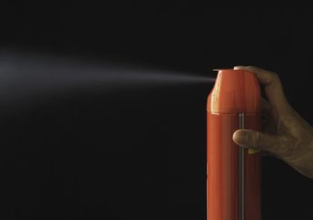 Hati-hati, Menurut Penelitian Menyemprotkan Obat Nyamuk di Kamar Anak Bisa Tingkatkan Risiko Kanker Darah