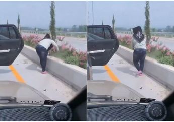 Heboh Perempuan Cabut Tanaman Hingga Akarnya di Pembatas Jalan Tol, Ahli Bilang Hal Itu Biasa Terjadi Lantaran Faktor-faktor Ini