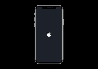 3 Cara Mudah Memperbaiki iPhone dan iPad Stuck di Logo Apple
