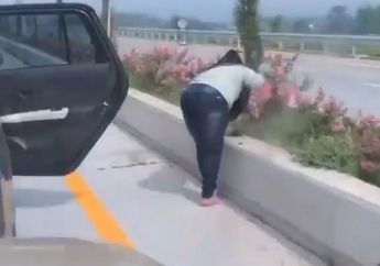 Ajaib Banget! Sambil Antri di Exit Tol Singosari, Emak-Emak Berhijab Main Cabut Tanaman