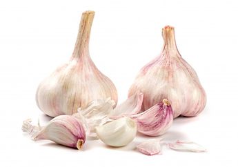 Kulit Bawang Putih Jangan Dibuang karena Punya Khasiat Tersembunyi untuk Kesehatan